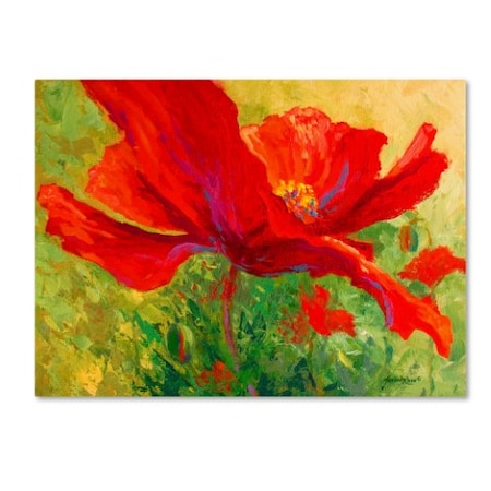 Marion Rose 'Red Poppy I' Canvas Art,24x32